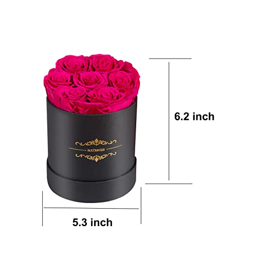 Preserved Roses - Last Up to 3 Years