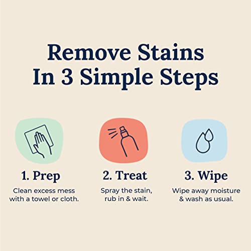 Stain Remover Spray (AKA Magic Potion)