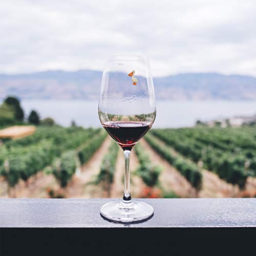 Magnetic Beach Wine Charms - Set of 6