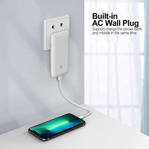 Ultra Slim Portable Charger, 4 Outputs, Dual Input
