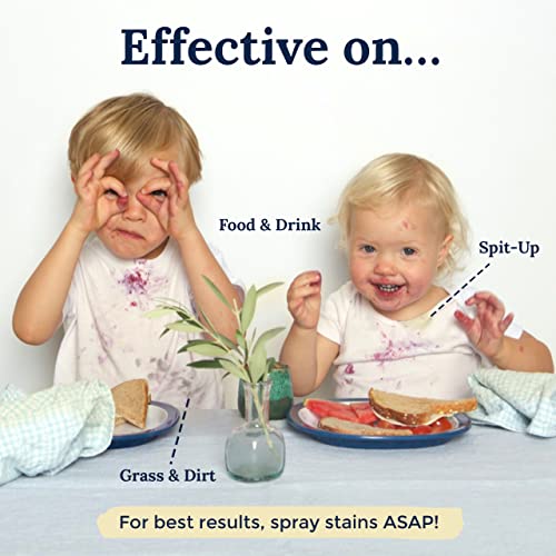 Stain Remover Spray (AKA Magic Potion)