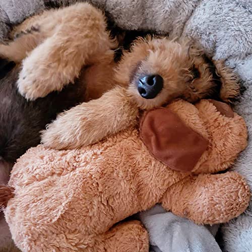 Snuggle Heartbeat Puppy - Pet Anxiety Relief & Calming Aid