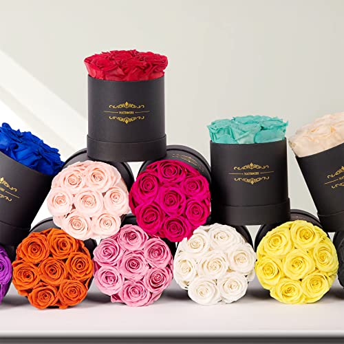 Preserved Roses - Last Up to 3 Years