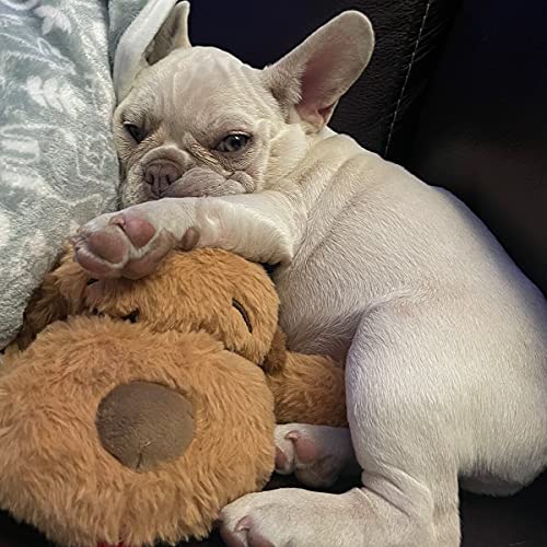 Snuggle Heartbeat Puppy - Pet Anxiety Relief & Calming Aid